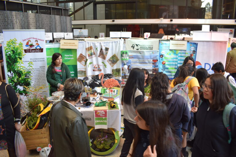 6ta-Feria-Eduación-Ambiental-109-1